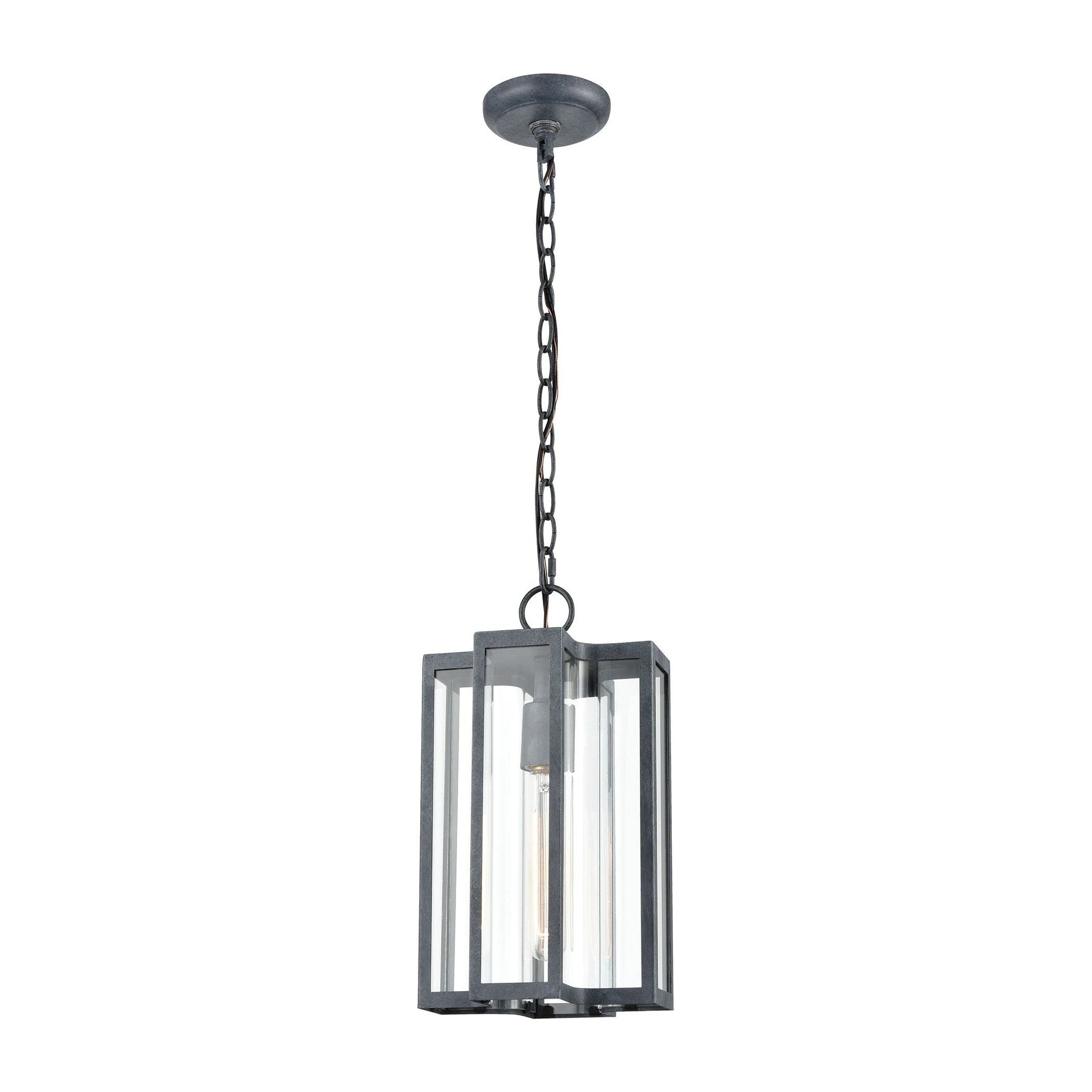 Bianca 8" Wide 1-Light Outdoor Pendant