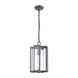 Bianca 8" Wide 1-Light Outdoor Pendant