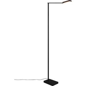 Pavia LED Floor Lamp