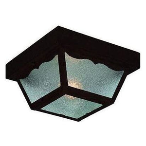 Builder's Choice Outdoor Ceiling Light