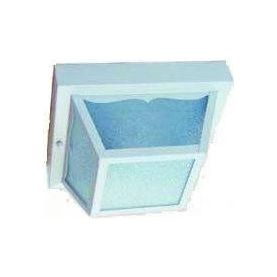 Builder's Choice Outdoor Ceiling Light