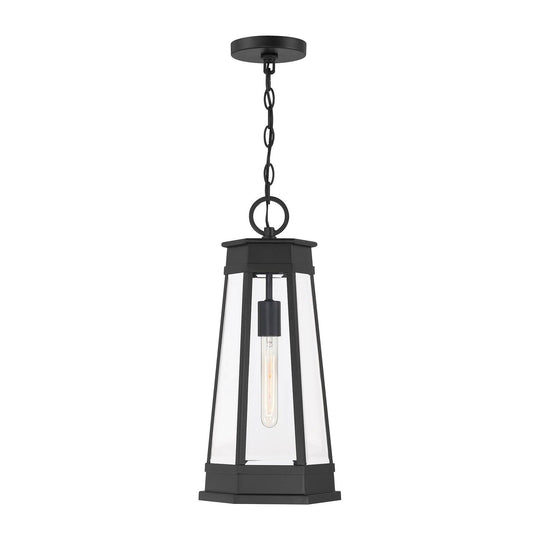 Payne 1-Light Outdoor Hanging Lantern