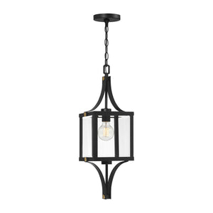 Raeburn 1-Light Outdoor Hanging Lantern