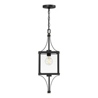 Raeburn 1-Light Outdoor Hanging Lantern
