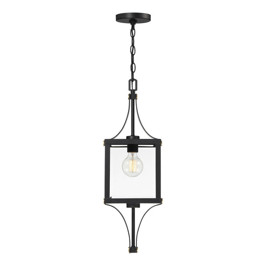 Raeburn 1-Light Outdoor Hanging Lantern
