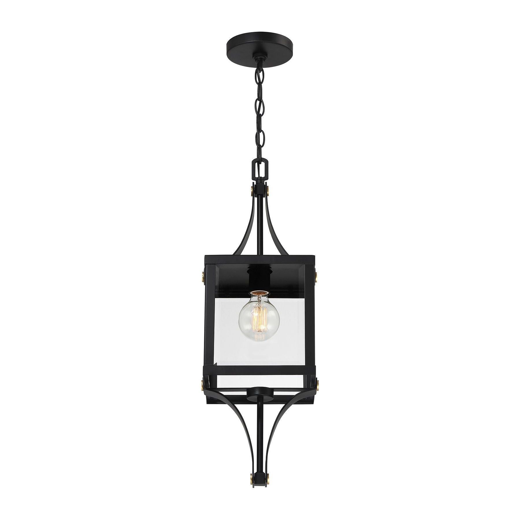 Raeburn 1-Light Outdoor Hanging Lantern