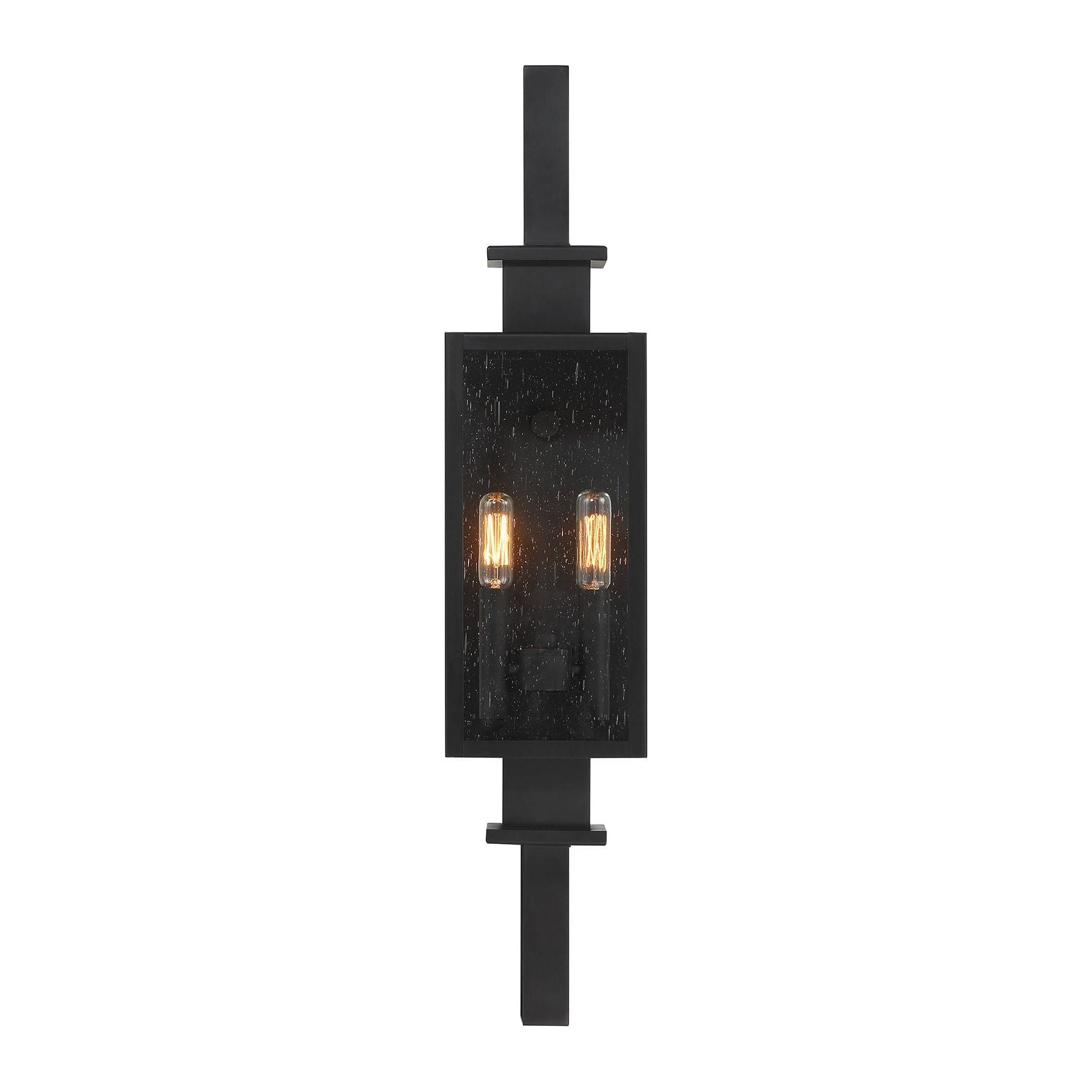 Ascott 2-Light Outdoor Wall Lantern