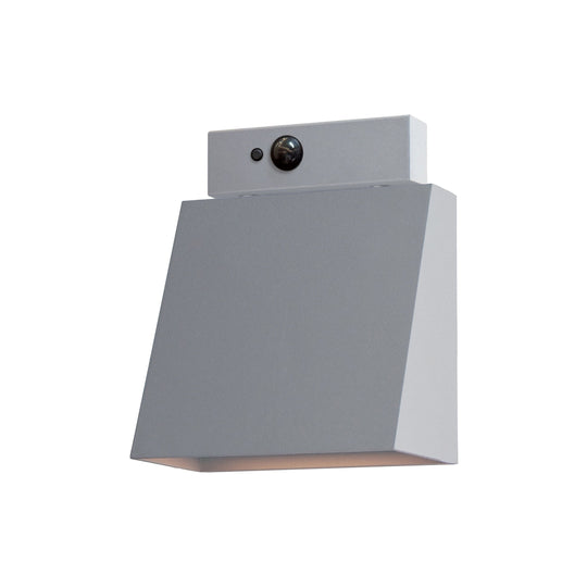 Pathfinder LED Outdoor Wall Sconce