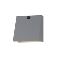 Pathfinder LED Outdoor Wall Sconce