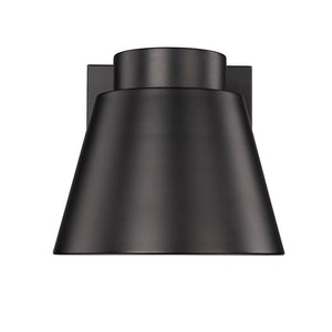 Asher 1-Light Outdoor Wall Light