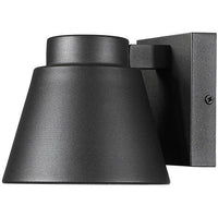 Asher 1-Light Outdoor Wall Light