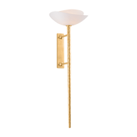 Coppa Wall Sconce