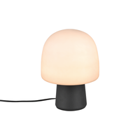 Steen 1-Light Table Lamp