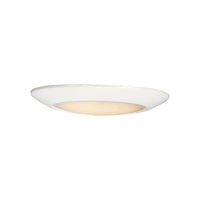 Diverse 9" LED Flush Mount