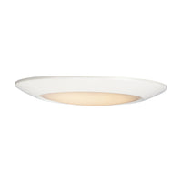 Diverse 11" LED Flush Mount