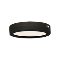Wafer 7" Round LED Surface Mount with Emergency Backup