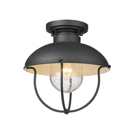 Ansel 1-Light Outdoor Ceiling Light