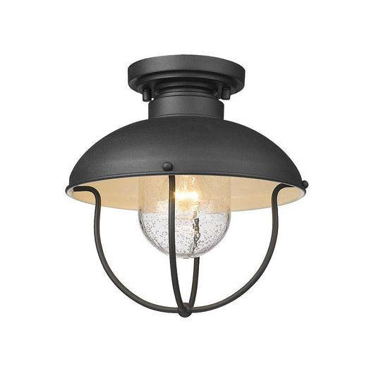 Ansel 1-Light Outdoor Ceiling Light