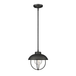 Ansel 1-Light Outdoor Pendant