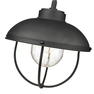 Ansel 1-Light Outdoor Pendant