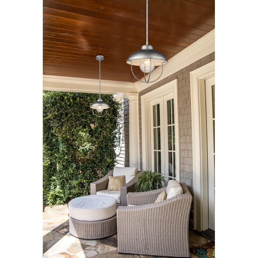 Ansel 1-Light Outdoor Pendant