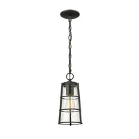 Helix 1-Light 13.25" Outdoor Pendant