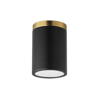 Dapper 1-Light Flush Mount