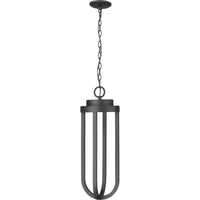 Leland 1-Light Outdoor Chain Mount Ceiling Fixture