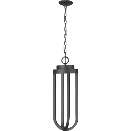 Leland 1-Light Outdoor Chain Mount Ceiling Fixture