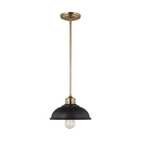 Dustin One Light Pendant