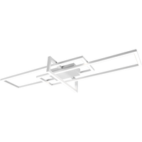 Salinas 1-Light Ceiling Lamp