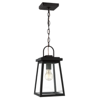 Founders 1-Light Outdoor Pendant (with Bulbs)