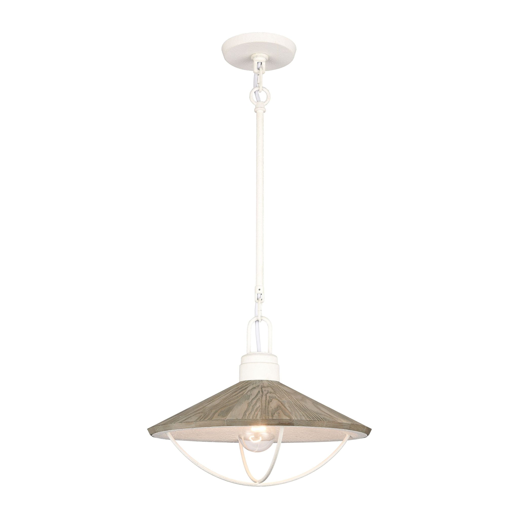 Cape May 14" Wide 1-Light Pendant