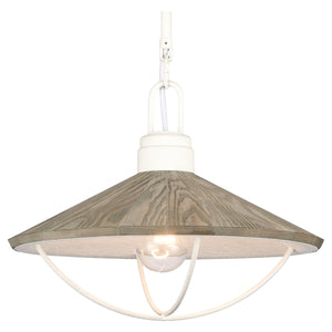 Cape May 14" Wide 1-Light Pendant