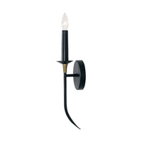 Amara 1-Light Sconce