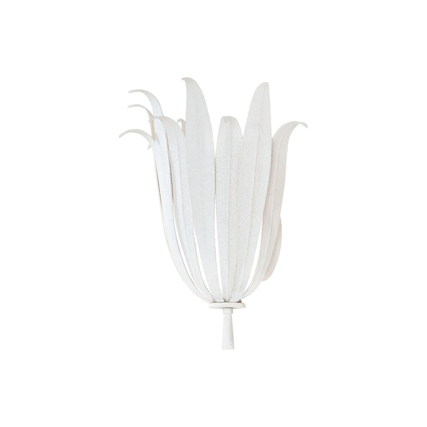 Eden 1-Light Sconce