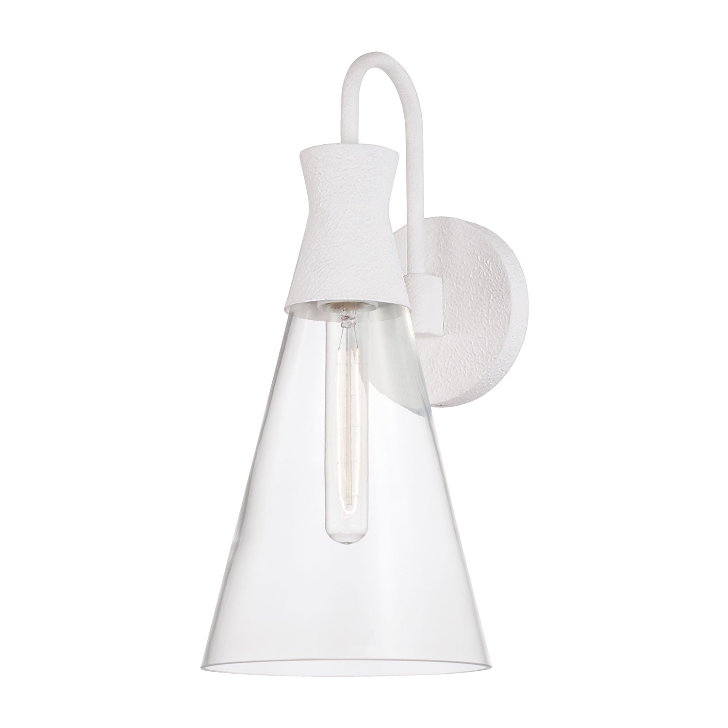 Paloma 1-Light Sconce