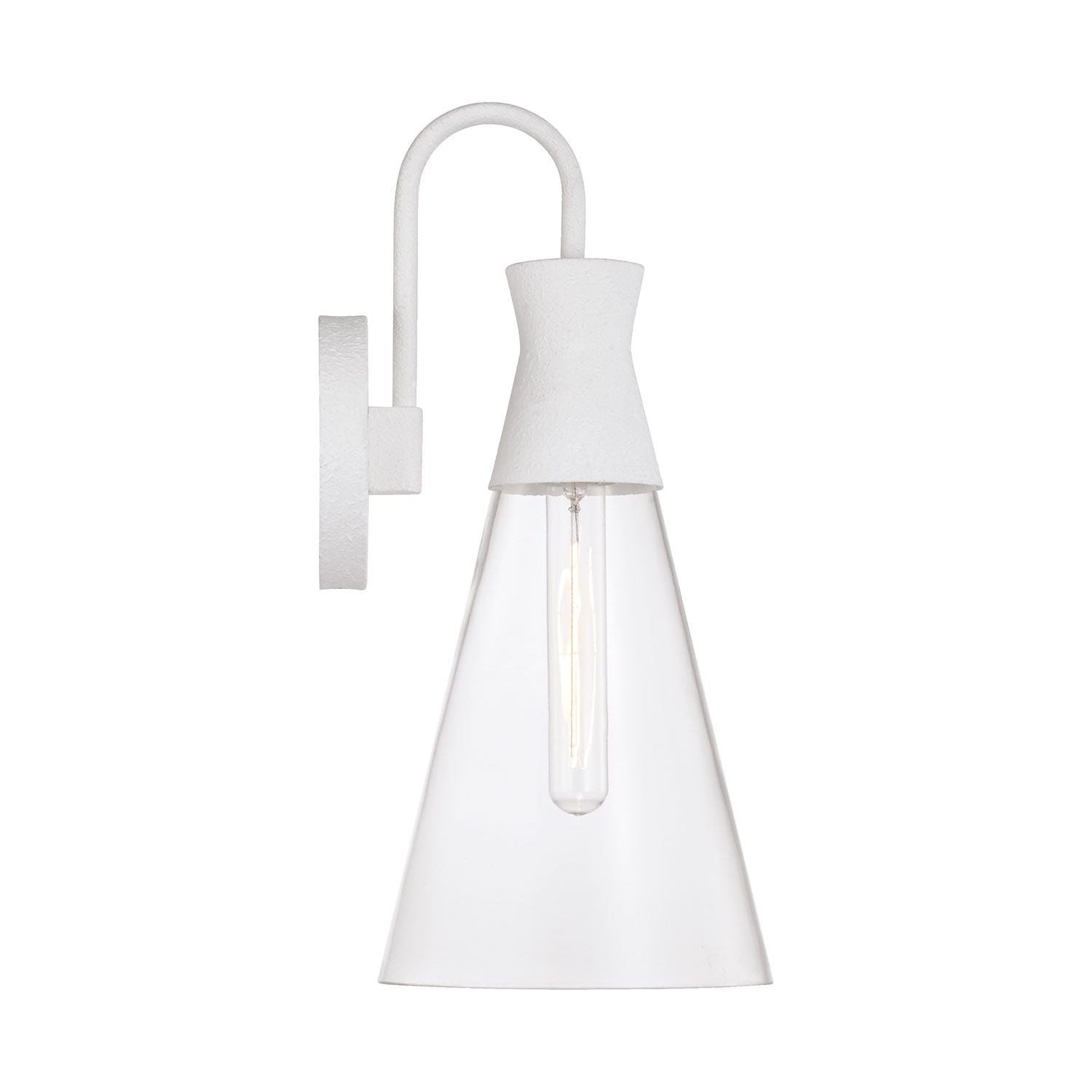 Paloma 1-Light Sconce