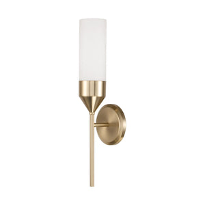 Devon 1-Light Sconce