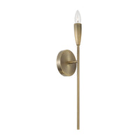 Palmer 1-Light Sconce