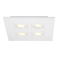 Venue 4-Light Surface Mount