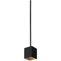 Exo 6 Pendant (24" Stem)