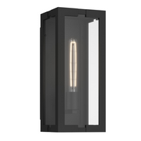 Calen 14" 1-Light Outdoor Wall Light