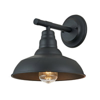 Falcon 1-Light Exterior Wall Light