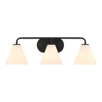 Blair 3-Light Vanity Light