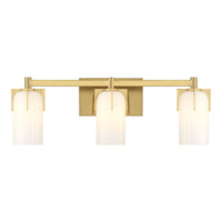 Caldwell 3-Light Bathroom Vanity Light