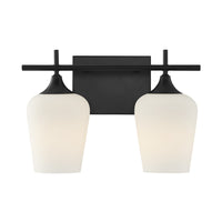 Octave 2-Light Bathroom Vanity Light