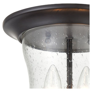 Trinity 9" Wide 2-Light Outdoor Flush Mount