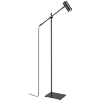 Calumet 1-Light Floor Lamp