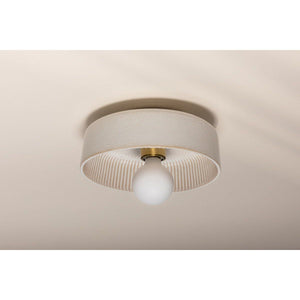 Ray 1-Light Flush Mount